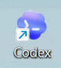 Codex额度